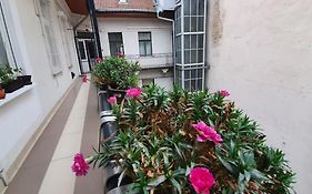 Violet Apartment With Air Condition